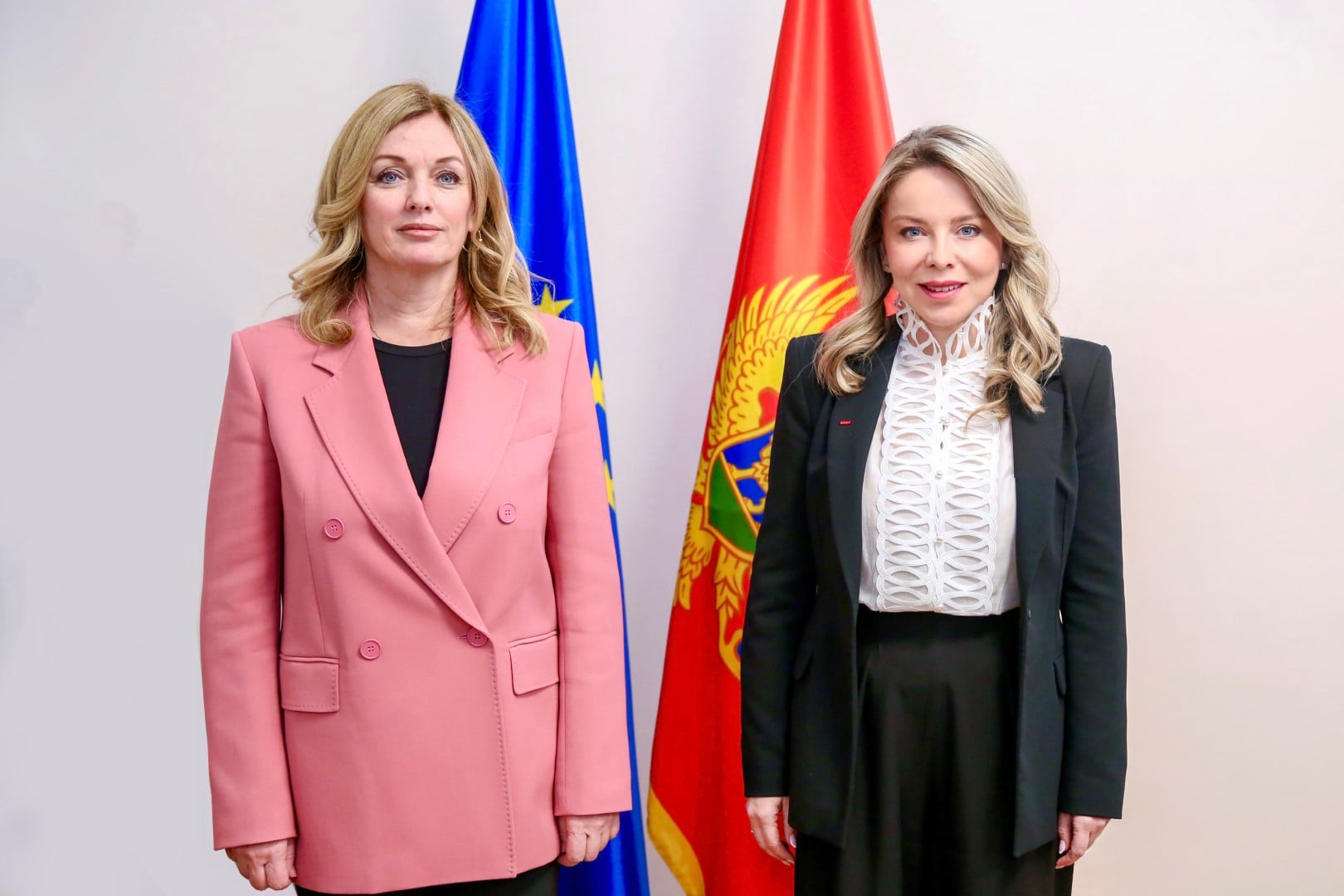 Guvernerka Centralne banka Crne Gore, dr Irena Radović, sastala se danas sa regionalnom direktoricom UNDP za Evropu i Centralnu Aziju, Ivana Živković